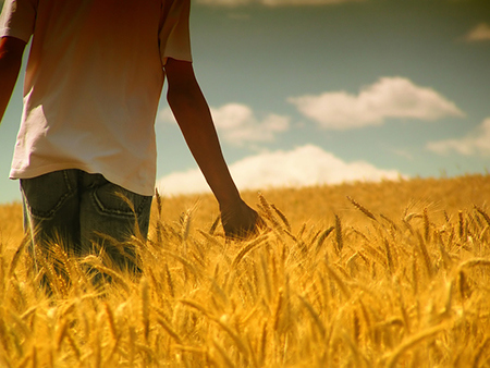 天生要出外发展的命？