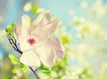 命理分析如何化解事业不顺？