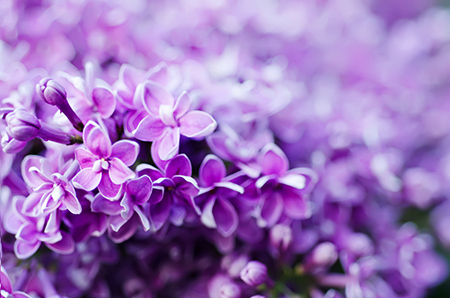 八字太旺是什么意思？