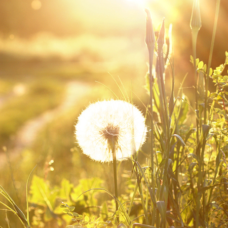 哪些八字格局有贵人相助？