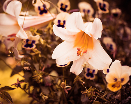 命运提供了哪些机遇？