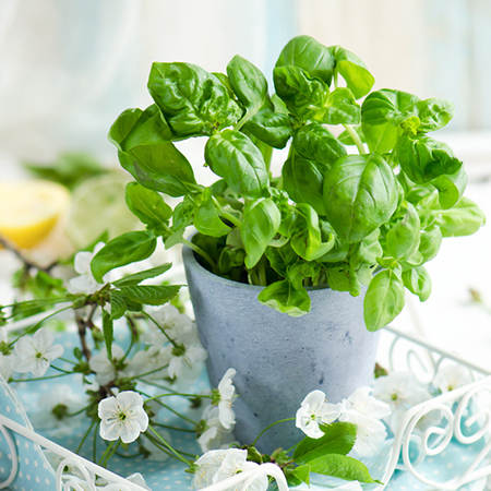 哪些人具有明察秋毫之力？