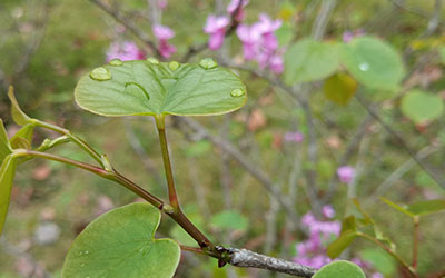 哪些人具有“好青年”的特质？