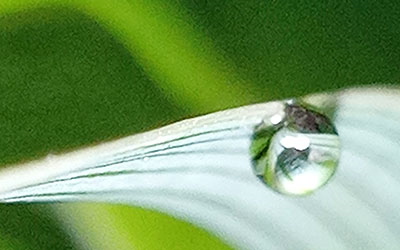 八字看你何时“时来运转”？