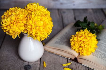 八字分析日干坐支的气数（二）？