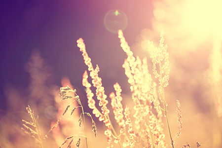 八字分析墓库是吉还是凶？