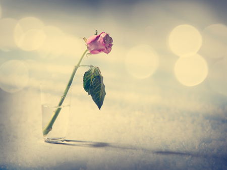 八字流年大运的排法？