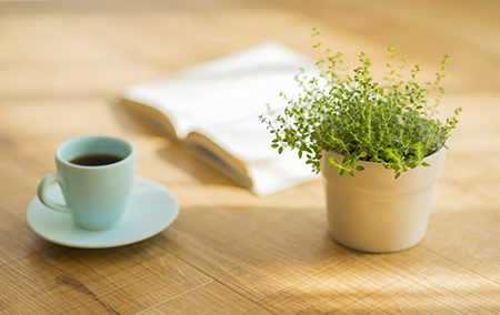 哪些日子出生的人爱贬低别人