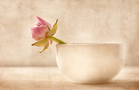 怎样学八字算命