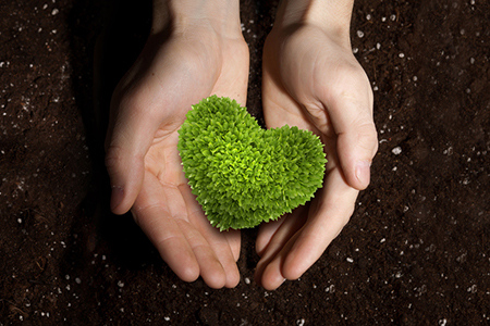 2017年属鸡的几月出生命好