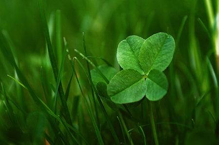 哪种女命有“克夫”的信息