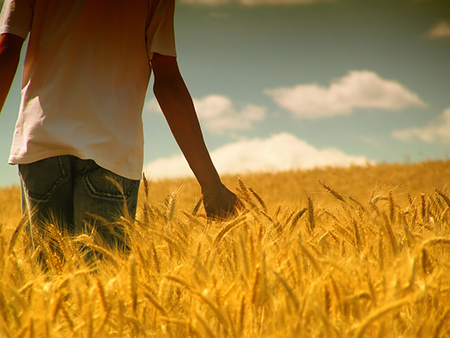 八字中的犯罪基因