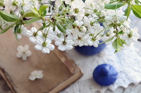 八字中的财官印是啥东东