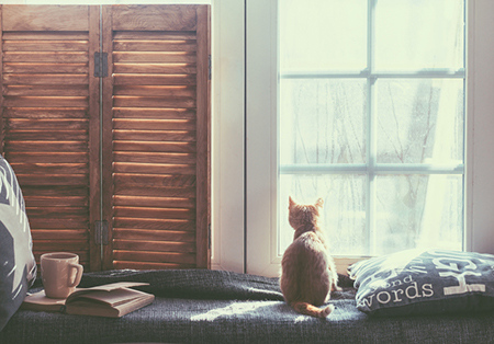 不同的八字命格如何获得权势