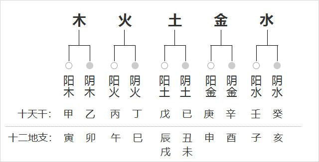 八字阴阳对照表