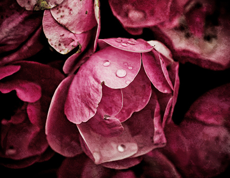 如何看八字的同性和异性