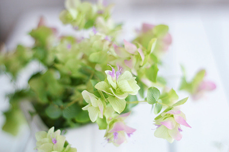 八字分析漫画大师宫崎骏退休