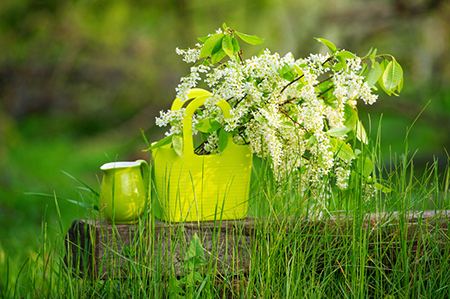 八字杂气财官格光辉人生