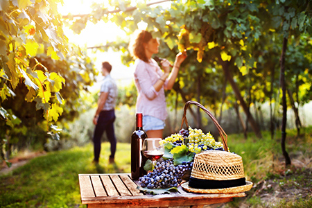 八字看你和谁最投缘