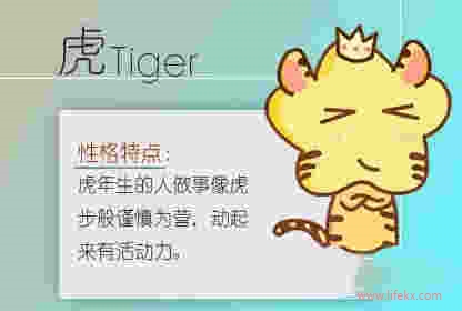 为什么说属虎的女人容易二婚