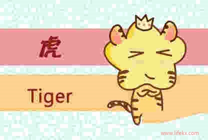 属虎的怕什么 生肖虎人最怕什么生肖