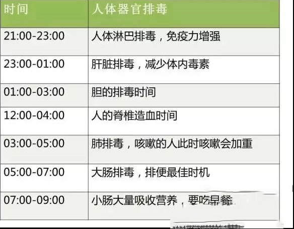 五脏六腑排毒时间图片