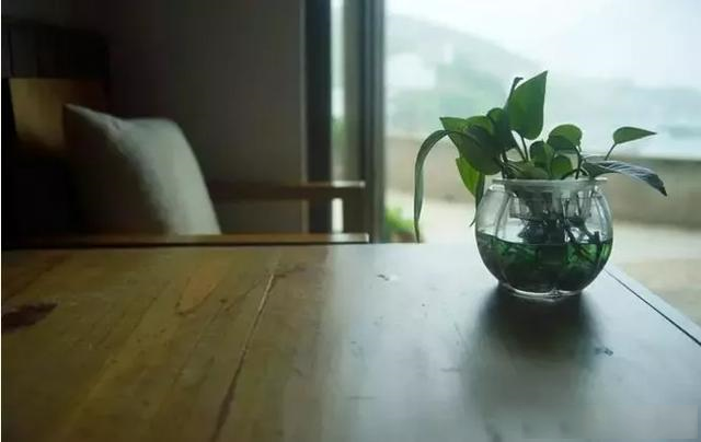 b型血不招蚊子？四点小妙招，助你度过“无蚊”的夏天！