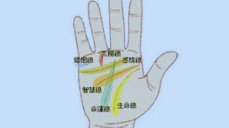 如何看手相算命图解?
